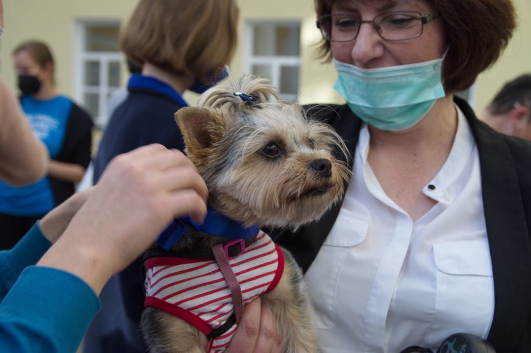 Social Adaptation, the Secrets of Communication, and Animal Therapy: Psychological Welcome Week Comes to a Close